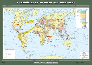 Важнейшие культурные растения мира