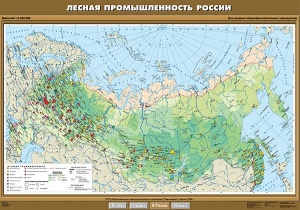 Лесная промышленность России