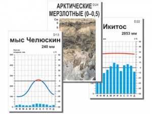 Модель-аппликация "Природные зоны" (ламинированная)