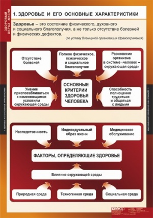 Таблицы демонстрационные "Здоровый образ жизни"