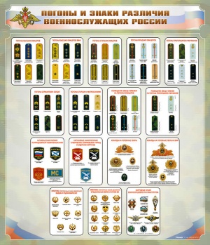 Стенд "Воинские звания и знаки различия военнослужащих РФ"