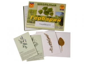 Гербарий "Лекарственные растения"