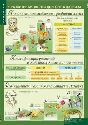 Комплект таблиц по биологии дем. "Биология. 10-11 классы. Эволюционное учение" 10 таблиц
