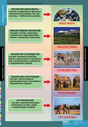 Комплект таблиц по биологии дем. "Введение в экологию" 18 таблиц