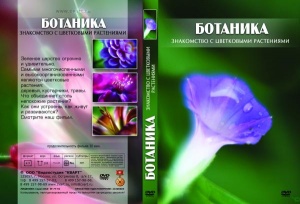 Ботаника. Цветковые растения