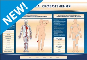 Электрифицированный стенд-тренажер "Остановка кровотечения"