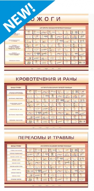 Трехсекционный базовый комплект "Травмы. Кровотечения. Ожоги"