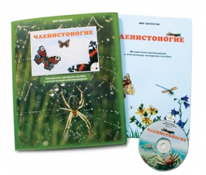 Электронное наглядное пособие «Членистоногие»