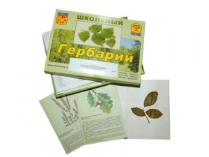 Гербарий "Дикорастущие растения"